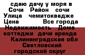 сдаю дачу у моря в Сочи › Район ­ сочи › Улица ­ чемитоквадже › Цена ­ 3 000 - Все города Недвижимость » Дома, коттеджи, дачи аренда   . Калининградская обл.,Светловский городской округ 